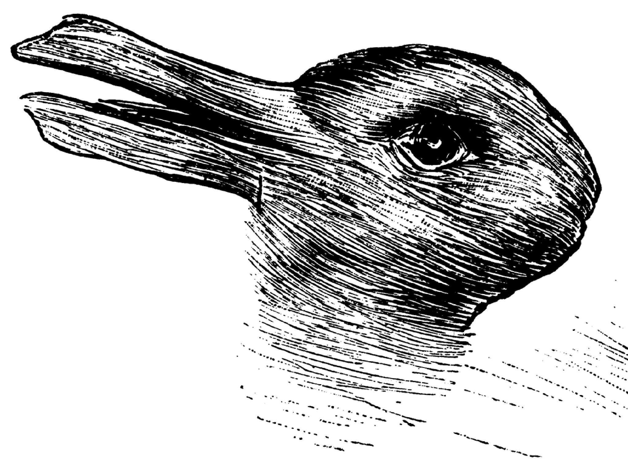 Duck-rabbit bistable figure